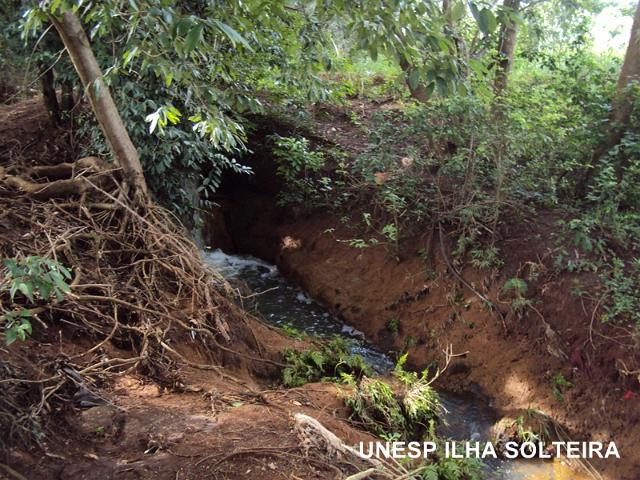 aula_25_marco_2013 (11).JPG